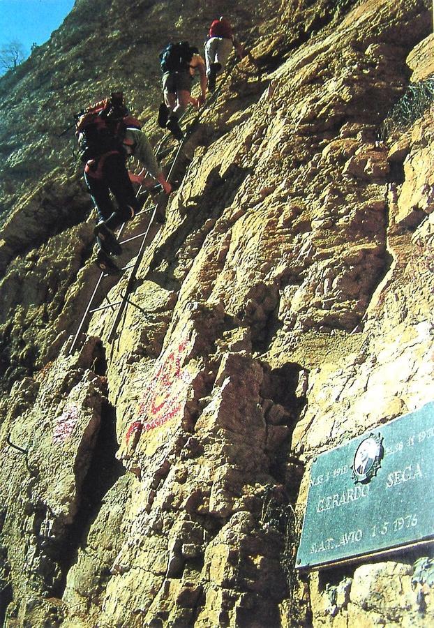 Alpino Da Tullio