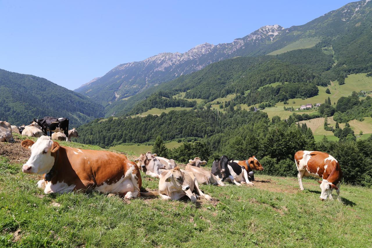 Hotel Alpino Da Tullio 2*